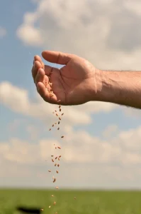 sembramos futuro regenerativo