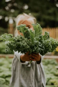 alimentación consciente educación ambiental familia